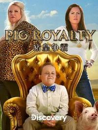 ����������������Ƶ����